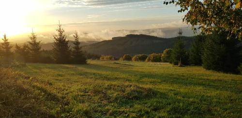 Medenec House | Chata Jelení dřevěnice s vlastní vířivkou