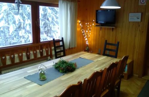 Ruzomberok Cabin | Chata pod Brdom