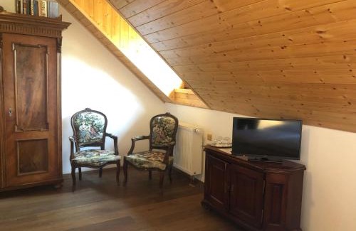 Hartmanice House | Chata Rovina