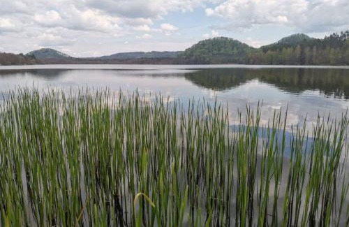 Hamr na Jezere House | Chata Tereza