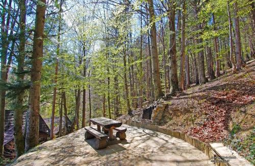 Terchova Ski Chalet | Chata Zuzana