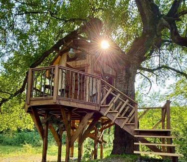 Lagodekhi House | Chateau Chapiteau