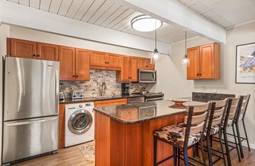 Aspen House | Chateau Chaumont Unit 5, Condo with Prime Location, 1 Block to Aspen Mountain
