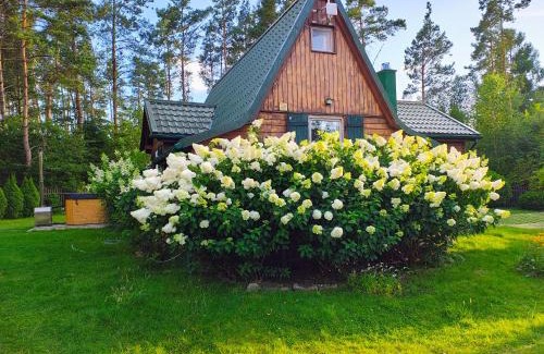 Sulecki Borek House | Chatka Baby Jagi - Domek z balią i kominkiem w lesie pośród jezior