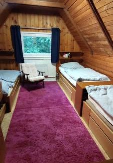 Olesnice v Orlickych horach Ski Chalet | Chatky u potoka chatka n3