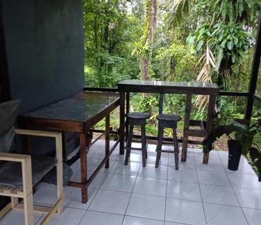 Katira Other | Chava Lodge On Tenorio Rio Celeste