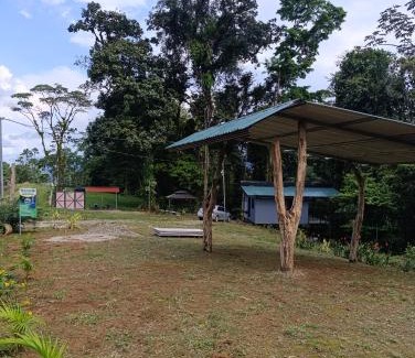 Katira Other | Chava Lodge On Tenorio Rio Celeste
