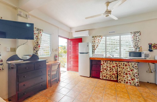 Caye Caulker Apartment | Cheerful, hotel-style studio w/WiFi, picnic table, partial AC & bikes to use