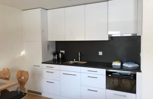 Bever Apartment | Chesa Darlux Ilg - Public transport included