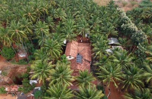 Coimbatore House | Chettinad Courtyard By Shivalaya Coimbatore