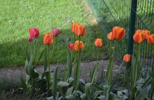 Chiny House | Chez nous