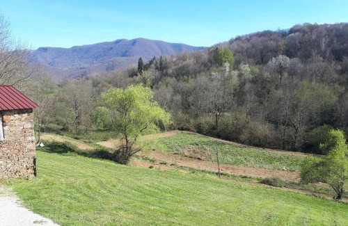 Chein-Dessus House | Chez Sagaret