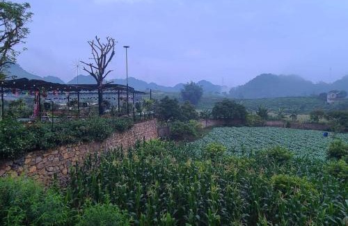 Moc Chau Bed & Breakfast | Chiềng Đi Dreamy Mộc Châu