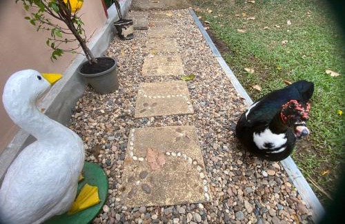 Chiang Dao House | Chiang Dao Story Camp