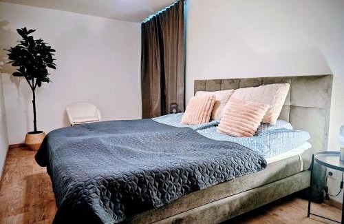 Innenstadt Apartment | Chic 2-room apartment in the historic cathedral district