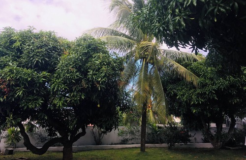 Rodney Bay Apartment | Chic apart in Rodney Bay complete with A/C and internet access.