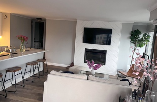 Near North Side Condo | Chicago Cityview Chic - Gold Coast/River North