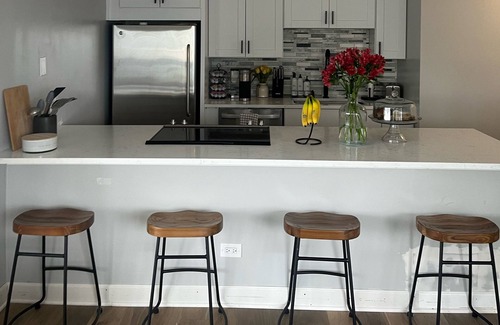 Near North Side Condo | Chicago Cityview Chic - Gold Coast/River North