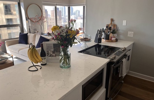 Near North Side Condo | Chicago Cityview Chic - Gold Coast/River North