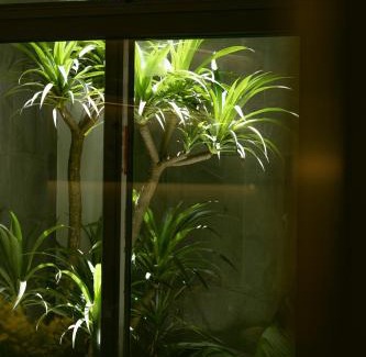 Hang Bo House | CIBI Homes - Hanoi Central Living Space