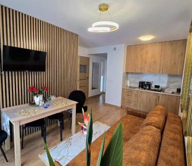 Krynica-Zdroj Apartment | Cicha 12 18a2 Apartament The Royal Suite Górski z garażem podziemnym w centrum
