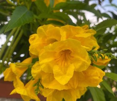 San Felice Circeo Apartment | Circeo Mon Amour