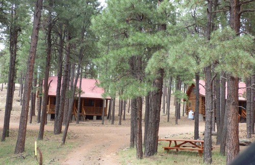 Alpine Cabin | Circle Pine Ranch - "The Real Log Cabin Experience"