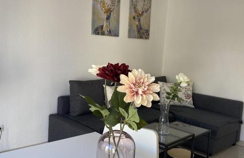 Zentrum Apartment | City Apartment am Rhein 4