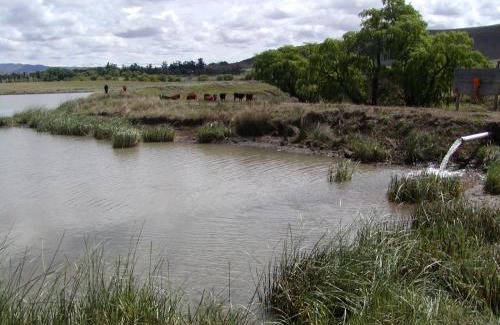 Pietermaritzburg House | City Gate Two