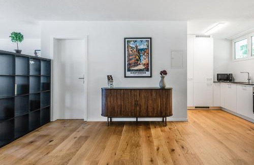 Schaffhausen Apartment | CITY-LOFT 1!Gratis parken, Free parking!