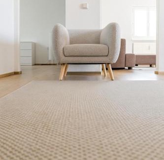 Lochau Apartment | City, See, Ruhe - Bodensee Apartment