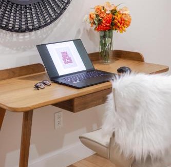 Cote-Des-Neiges—Notre-Dame-De-Grace Apartment | City Verve Modern 2BR in NDG MTL