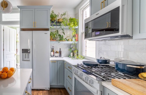 Andersonville House | Classic Chicago 2 Flat transformed into a Parisian plant lovers paradise