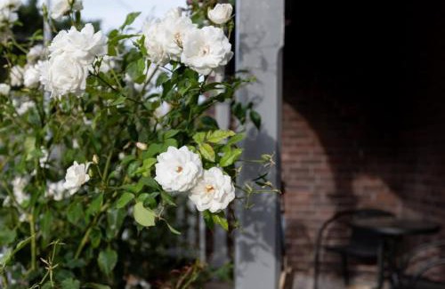 South Launceston House | Classic Cottage: Near CBD Hospital & Parking