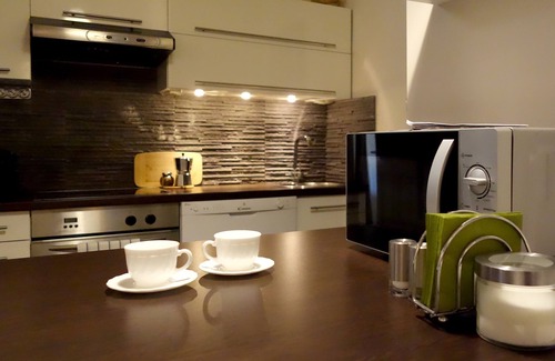 Terezvaros Apartment | Classic house, contemporary apartment!