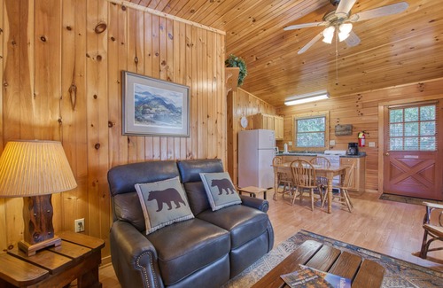 Waynesville Cabin | Classic lake cabin with WiFi, deck, kitchen, partial AC - dogs OK