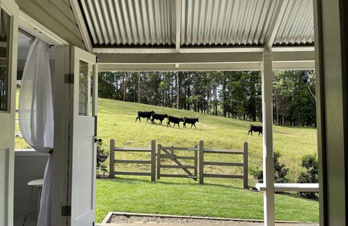 Bangalow House | Classic, simple and relaxed living.