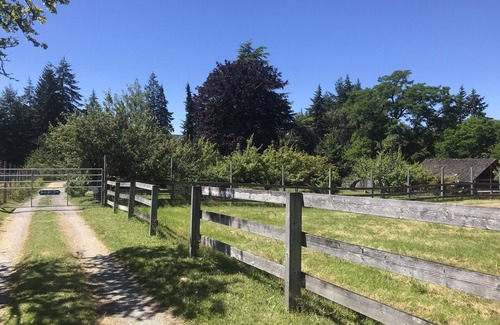 Vashon Island House | Classic Westside Farmhouse w/Fruit & Water View on 10 acres with AC and Hot Tub