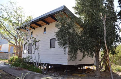 Vicuna House | Clayhouse Rivadavia