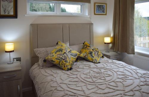 Hexham Resort | Clear Sky Lodge Park