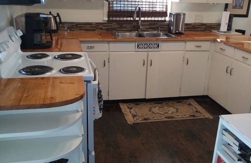 Guntersville House | Close to Everything Guntersville! Pets Welcome ~ Boat Ramp within Sight!