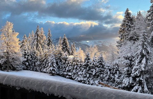 Barboleusaz Ski Chalet | Close to the arrival of the slopes, 750m from the Barboleuse train station.