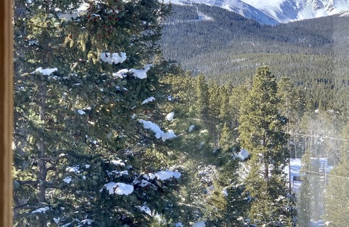 Breckenridge Ski Chalet | Close to Town & Skiing/Hiking, Stunning Views, Private Hot Tub. Pet welcome.
