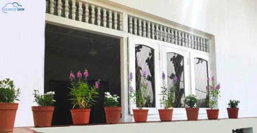 Kandy Bed & Breakfast | Cloud Inn Kandy Homestay - Near Temple of Tooth