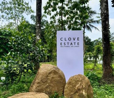 Matugama Ski Chalet | Clove Estate - A Quiet Living