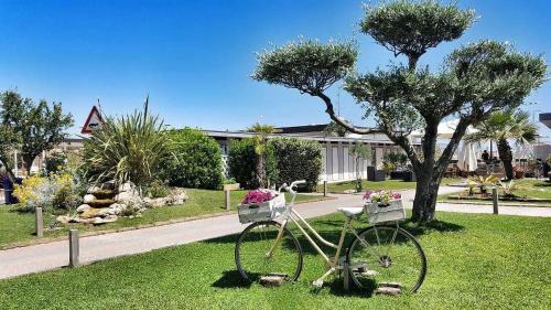Pinarella Other | Club del Sole Adriatico Cervia Easy Camping Village