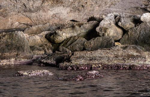 Archanes-Asterousia Apartment | Coastline of Paradise