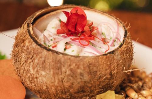 Morales Resort | COCONUT TARAPOTO - ECO RESORT