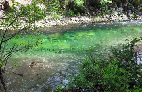 Moltifao House | Cocooning trailer 2 minutes walk from the river