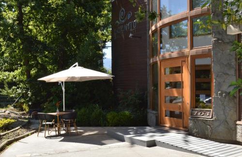 Pucon Hotel | Cocurantu Hotel Boutique